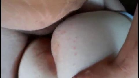 Spider shanea from the side